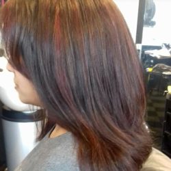 Gentlr Layering eith Red Lowlights
